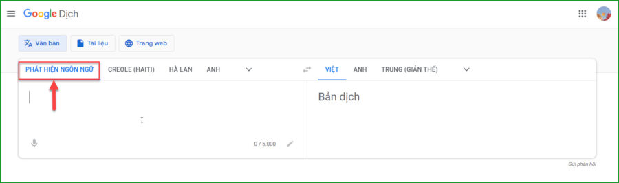 Ấn vào ô "phát hiện ngôn ngữ"